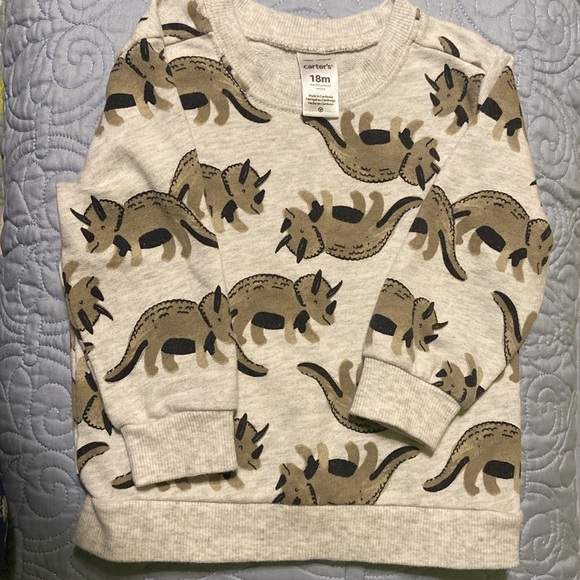 Cater’s Dinosaur sweatshirt - Picture 2 of 6